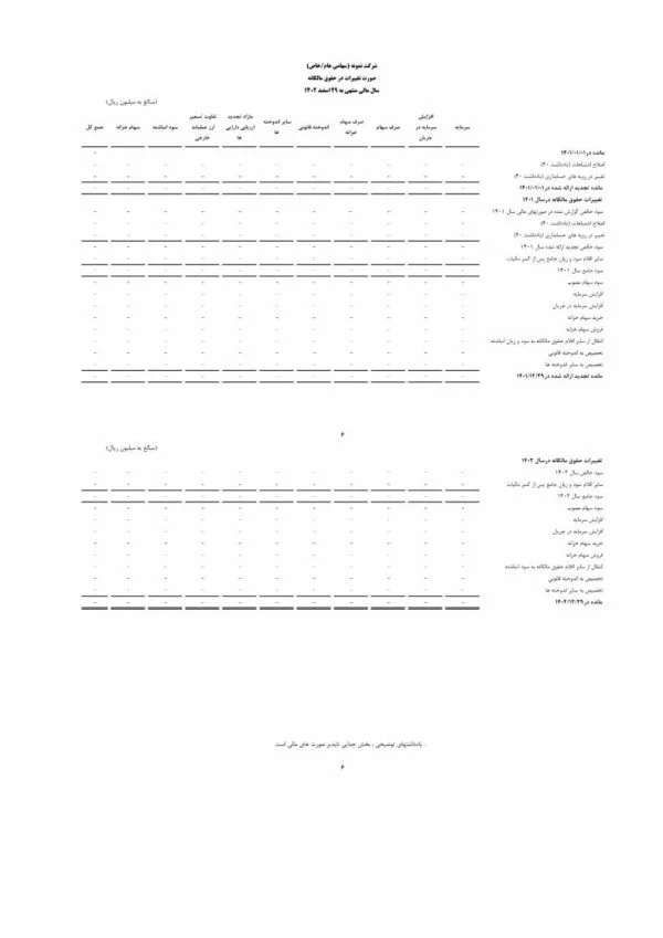 صورت های مالی 1402